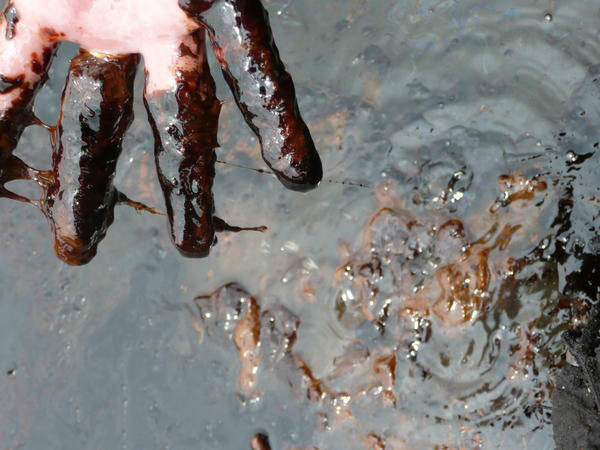 Abandoned tanker could spill 4 times more oil than Exxon Valdez, U.N. official warns