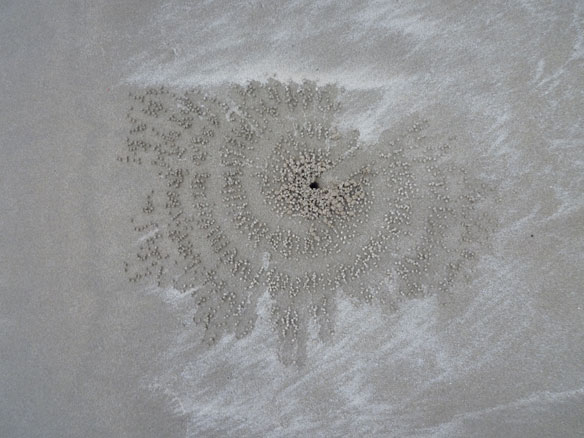 sable-spirale