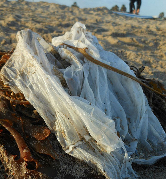 plastic-pollution-single-bag