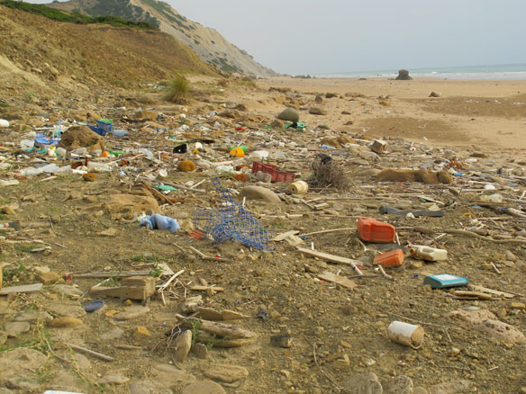 plastic-pollution-coastal-care