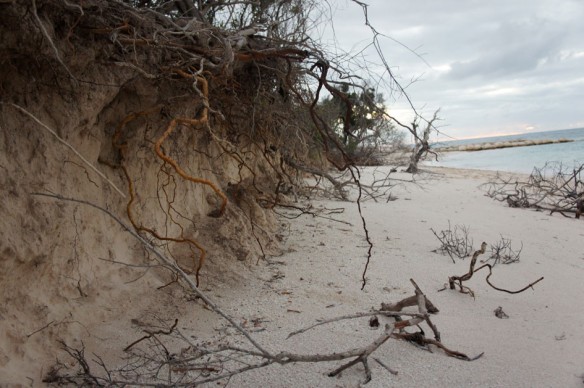 coastal-erosion