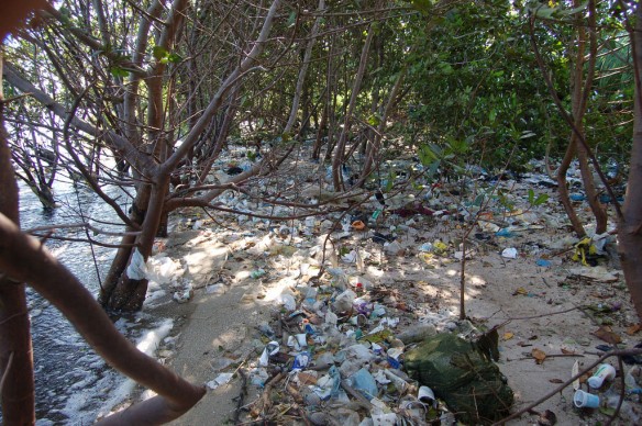 rio-de-janeiro-plastic-pollution