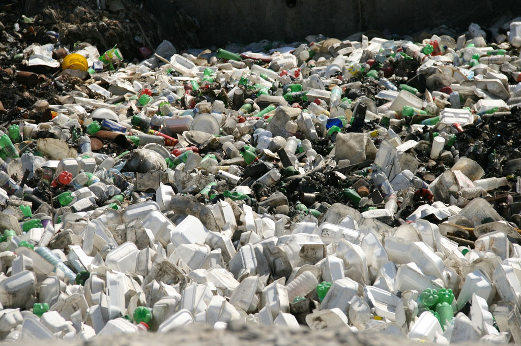 Plastic Waste Causes $13 Billion In Annual Damage To Marine Ecosystems, UN