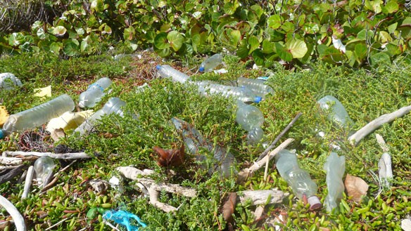 plastic-pollution-coastal-care-grenada