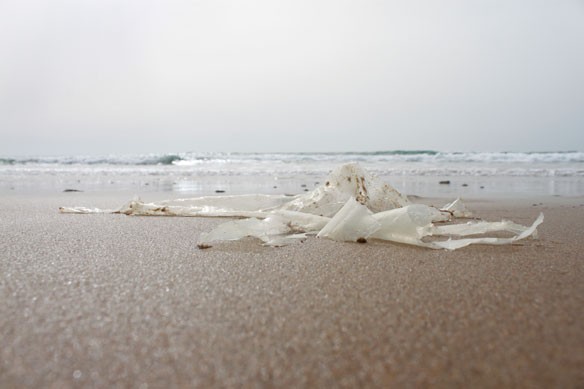 plastic-pollution-coastalcare