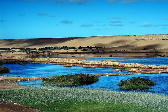 wetland-morocco