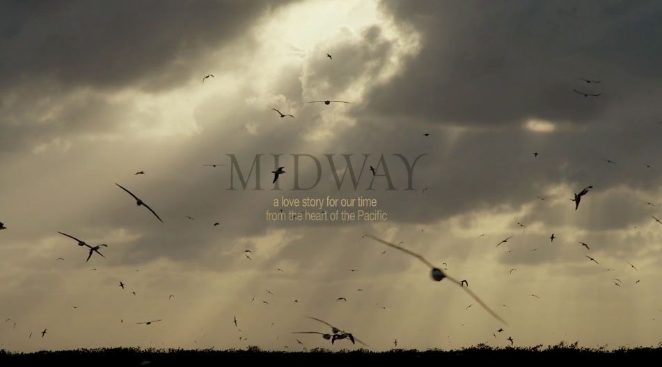 “Midway.” A Love Story for our Time from the Heart of the Pacific”—By Chris Jordan, Midway Film