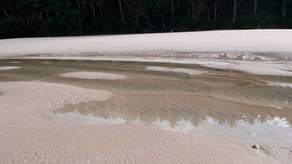 Beachgoers Beware? 5 Pathogens That Lurk In Sand