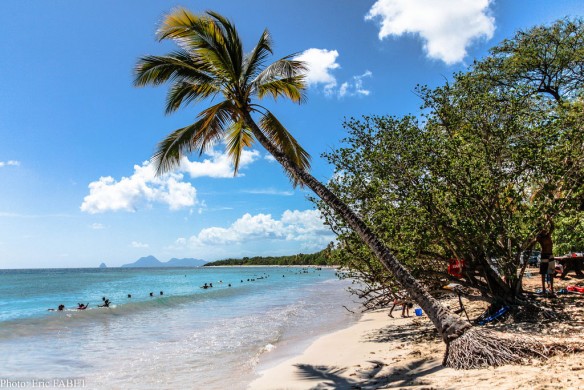 salines-beach-martinique