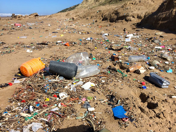 From oil use to ocean pollution: five facts about the plastics industry