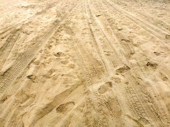 Sand extraction destroys the Crimean beaches