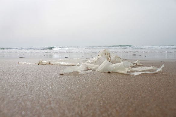 Modern art is rubbish: strange and beautiful photos of beach detritis