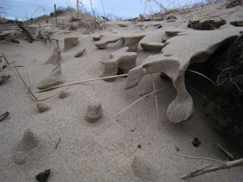 Changing Beaches, Changing Uses, Mystery Structures: Rosy Mound Park, Lake Michigan, U.S.A; By William Neal, Peter Wampler & Brock Hesselsweet