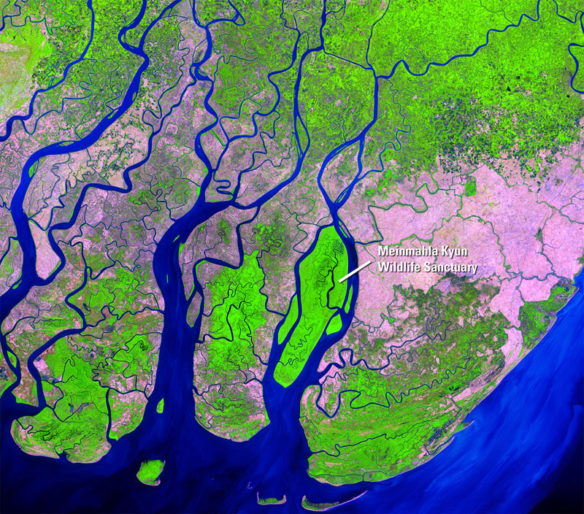 irrawaddy-delta