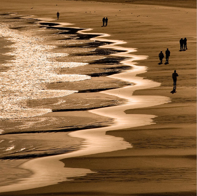 Beach cusps: shoreline symmetry; By Gary Griggs
