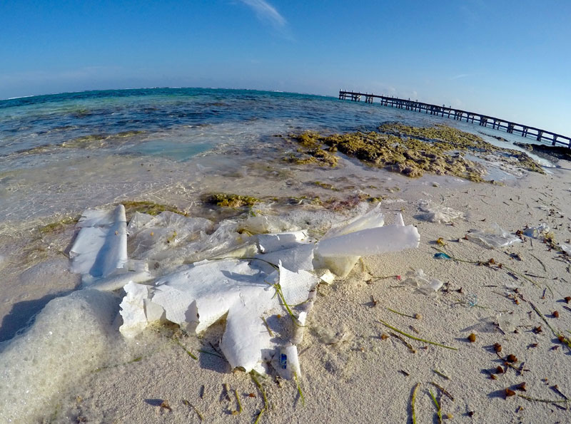 Plastic in the Oceans Increasing Risk of Disease in Coral Reefs
