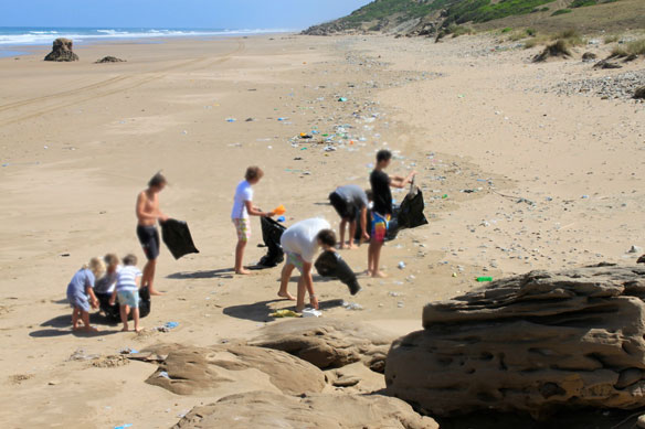 Surfrider’s 2019 Beach Cleanup Report