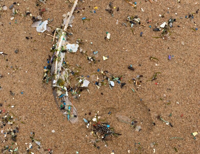 Researchers make major, concerning microplastics discovery