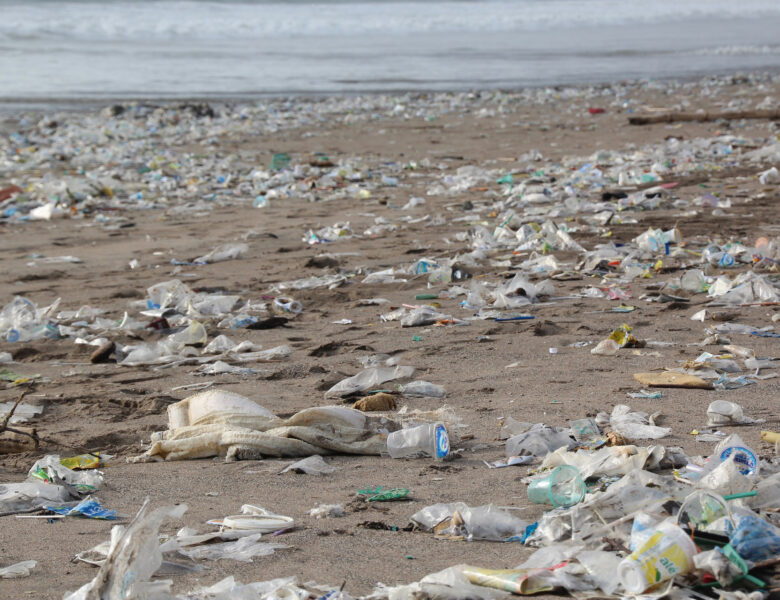 Victory: Washington State Passes Comprehensive Policy to tackle Plastic Pollution