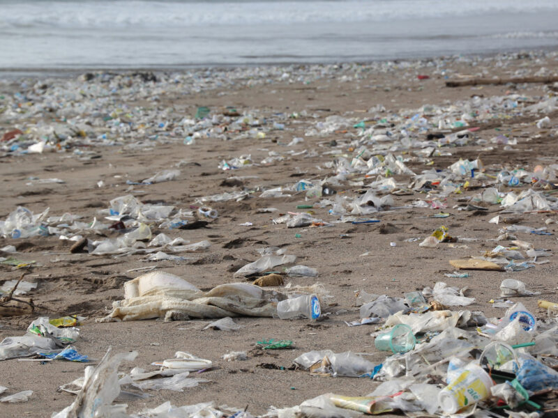 Victory: Washington State Passes Comprehensive Policy to tackle Plastic Pollution