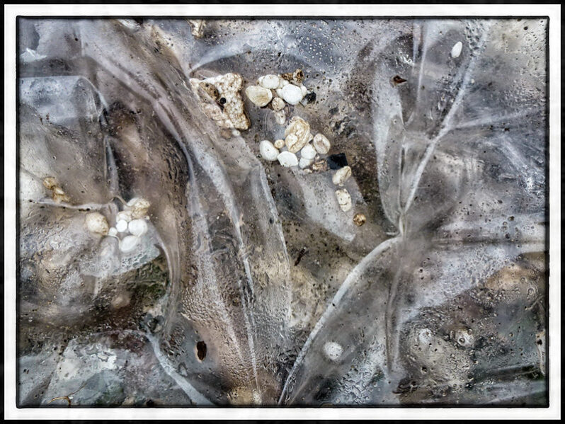 Puget Flotsam Fragmentation (by Ingrid V Taylar CC BY-NC 2.0 via Flickr)