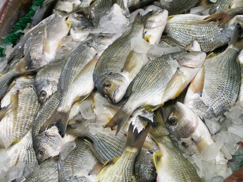 Fish Market (Photo by Bernard Spragg Public Domain via Flickr)