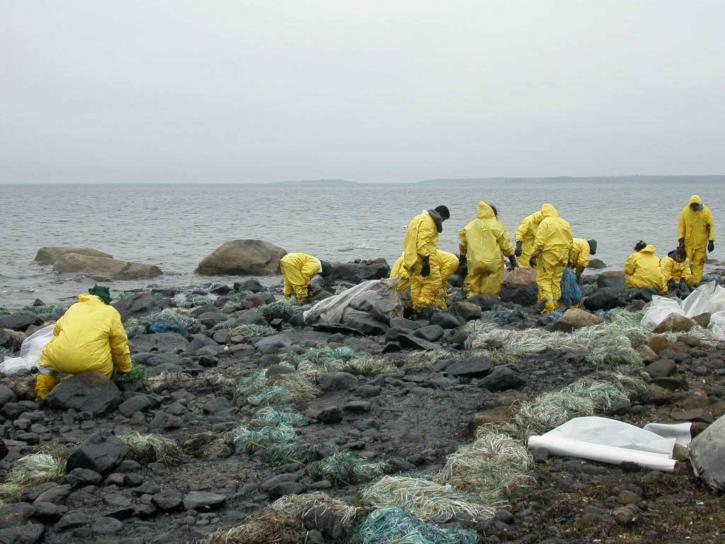 Cleaning up an Oil Spill (by Gore Lamar, USFWS CC0 via Pixnio)