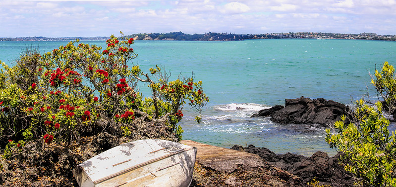Aukland from Rangitoto (by Georgie Sharp CC BY-NC 2.0 via Flickr).