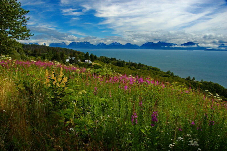 Cook Inlet from Homer (by Dave Bezaire CC BY-SA 2.0 via Flickr).
