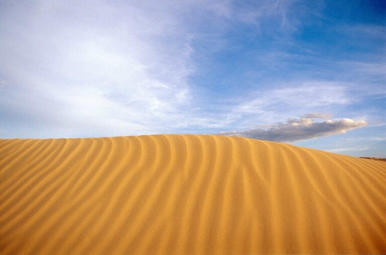 Sand dunes in Kernel - Sydney, Australia (by Bea Pierce CC BY-NC 2.0 via Flickr).