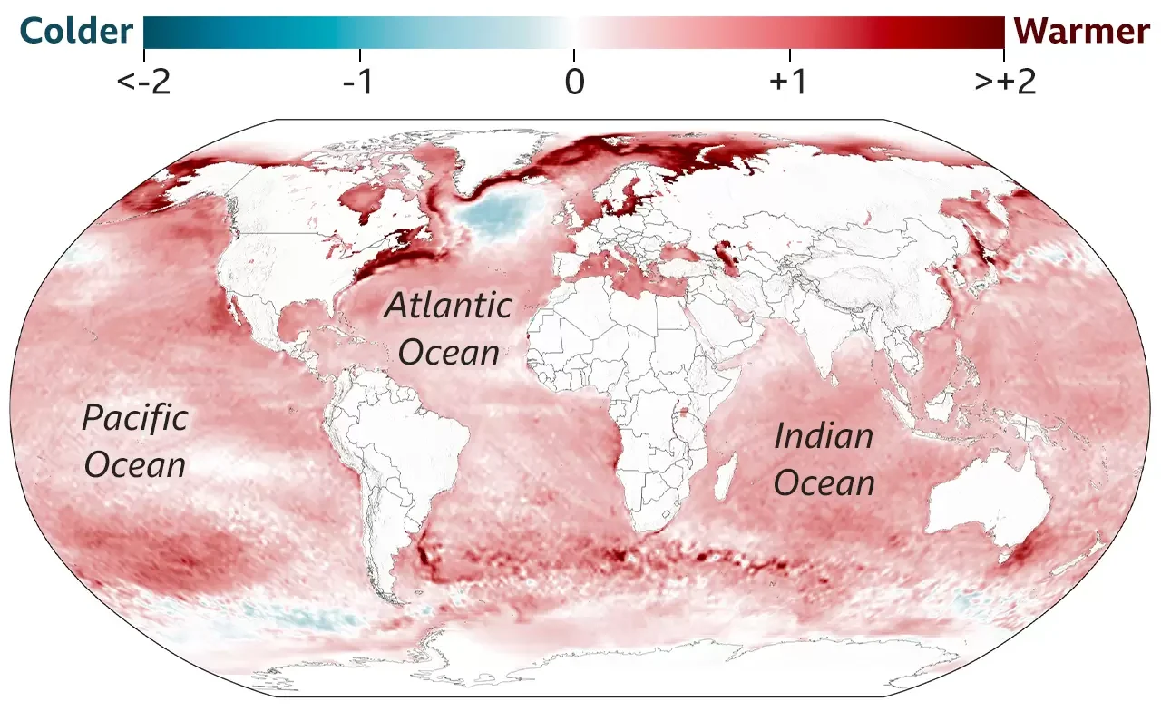 Rising temperatures in the world's oceans: Average surface temperature in 2011 - 2020 (degrees C) compared to 1951 - 1980) source: ECMWF ERA5 via BBC