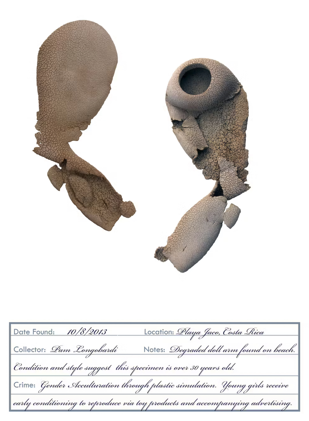 A degraded plastic doll arm, from the series ‘Evidence of Crimes.’ (by Pam Longobardi, CC BY-ND via the Conversation).
