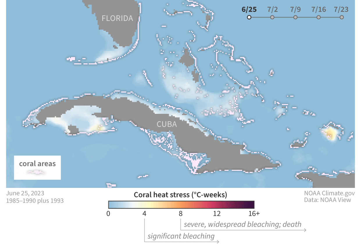 Animated satellite-based map showing the build-up of ocean heat stress in the waters around Florida between June 25 and July 23, 2023. Coral reefs in the southern portion of the Florida Keys have been experiencing extreme heat stress for weeks. In areas where the Degree Heating Week (DHW), which is directly related to the timing and intensity of coral bleaching, reached 4 °C-weeks, significant coral bleaching is expected; in areas where the DHW reached 8 °C-weeks, severe coral bleaching and significant mortality are expected (courtesy of NOAA Climate.gov, based on NOAA Coral Reef Watch data, Public Domain).