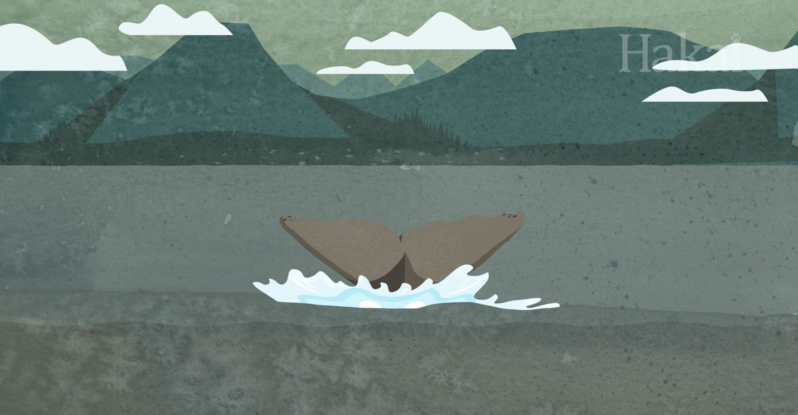 Screenshot from the Hakai Institute's video , Long Story Shorts: How Do Whales Withstand Ocean Pressure? via Youtube.