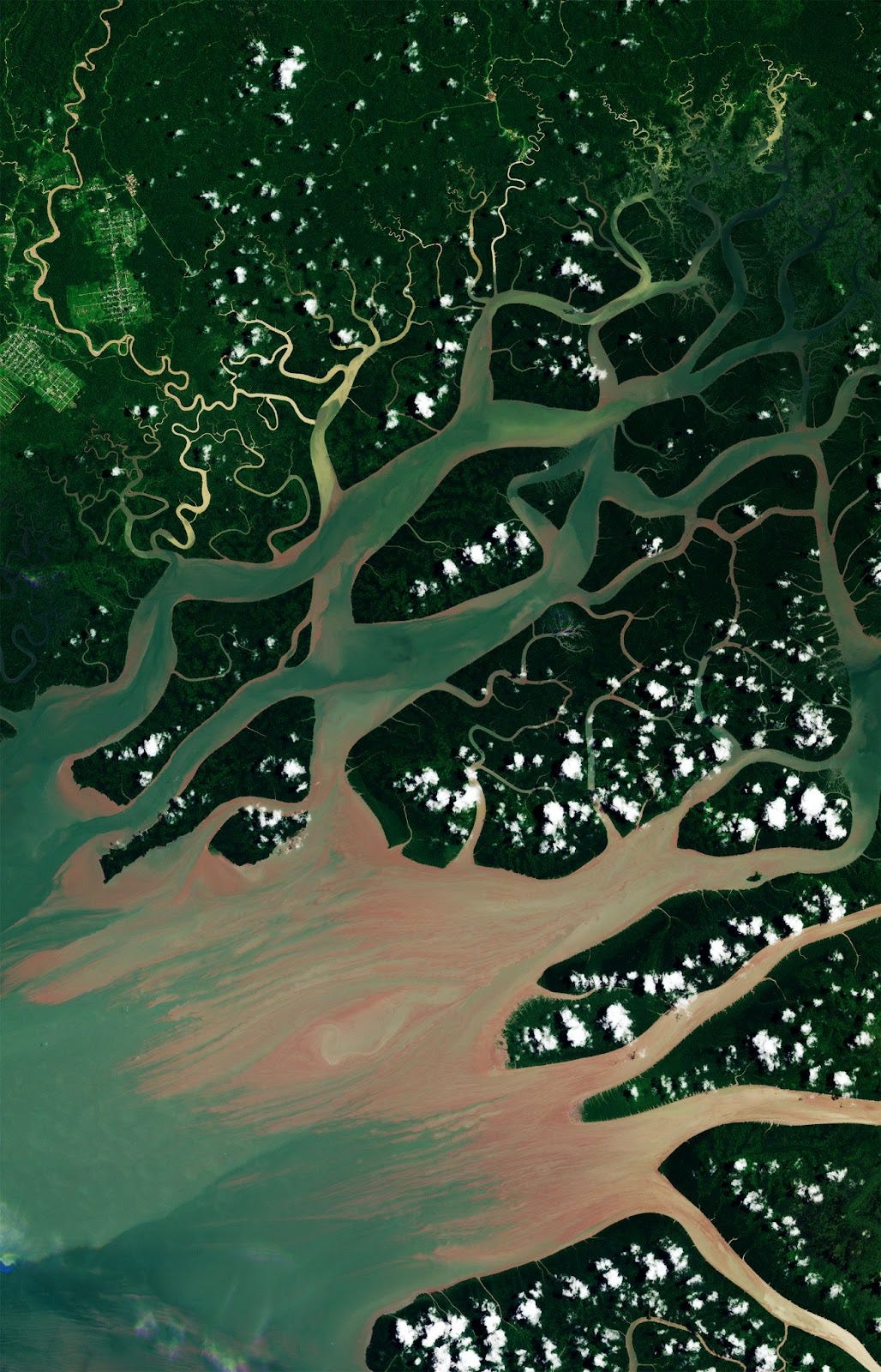 West Papua, Indonesia from the air: Mangrove forests are a natural fortification against storm surges (© Planet Labs PBC, CC BY-NC-SA 2.0 via Medium).