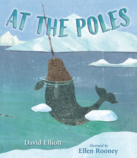 Cover detail of book "At the Poles" authored by David Elliot, illustrations by Ellen Rooney courtesy of Candlewick Press.