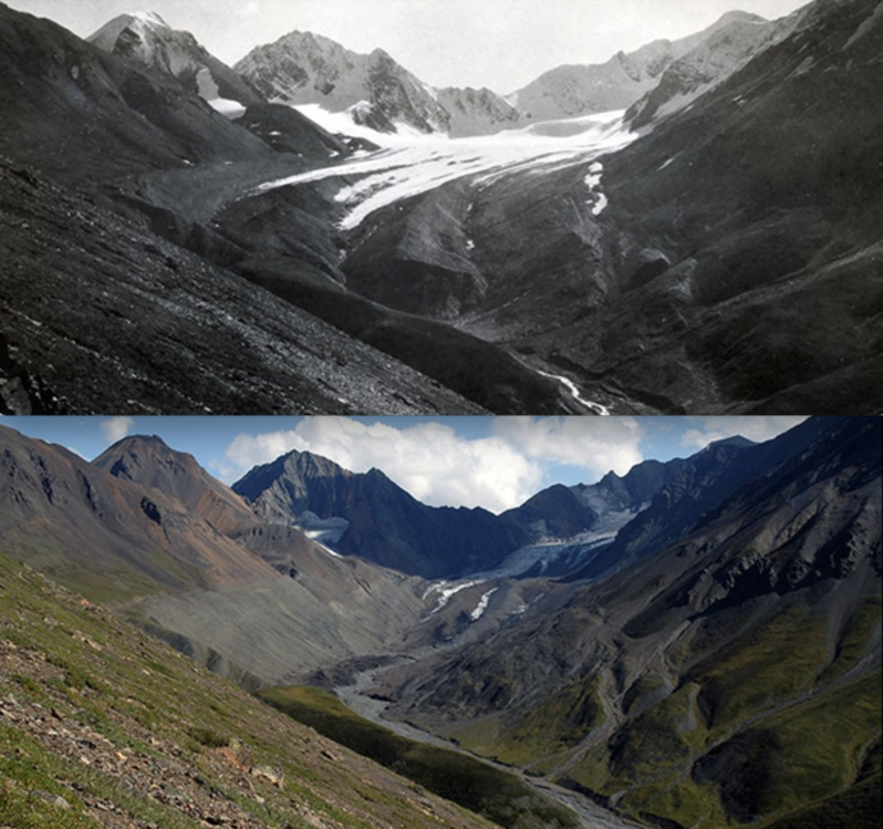 The easternmost Teklanika glacier has retreated approximately 450 yards (410 m) and downwasted (surface elevation decreased) approximately 300 feet (90 m) between 1959 and 2010. (Courtesy of National Park Service, 1919 photo by Stephen R. Capps, 2004 photo R.D. Karpilo).