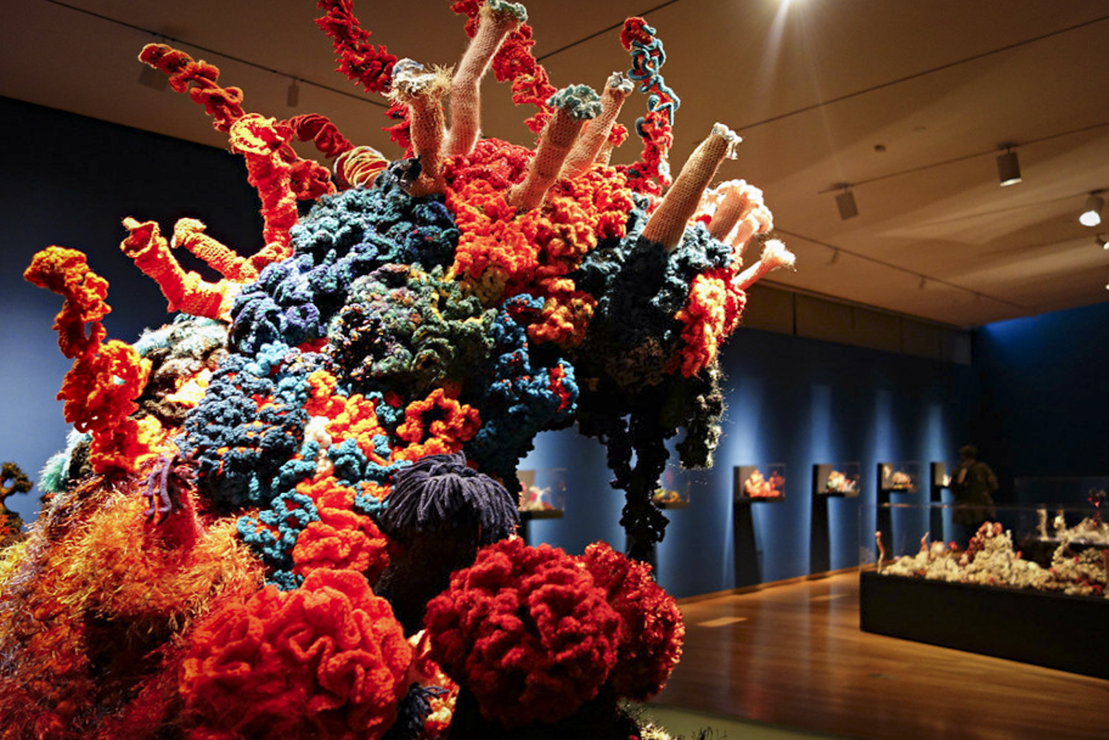 Crochet Coral Reef: TOXIC SEAS, Museum of Arts and Design, NYC 2016 (by Allison Meier CC BY 2.0 DEED via Flickr).