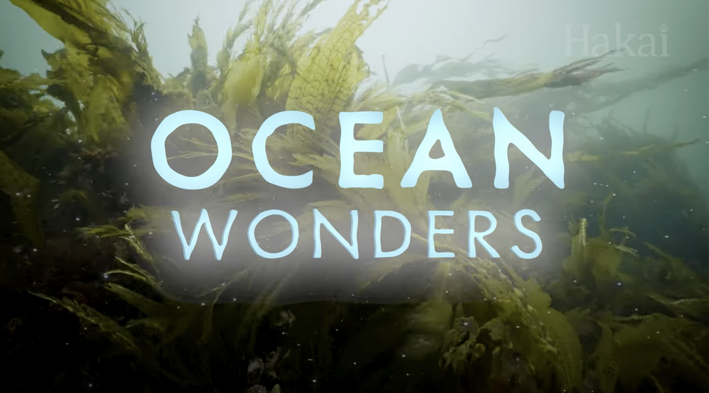Screenshot from Hakai Institute video, Ocean Wonders: A Symphony of Smells, via Youtube.