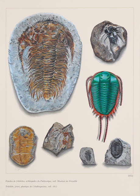 "Anthropocene" by 1011: Trilobite fossils and plastic toy, drawing, 2021 Collection Muséum de Grenoble. Adagp © 1011, used with permission.