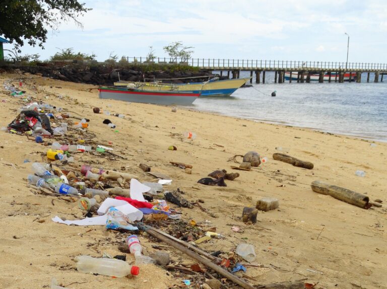 Plastic & garbage on the coast in Pulau Bunaken, Sulawesi, Indonesia, August 2014 (by Fabio Achilli CC BY 2.0 DEED via Flickr).