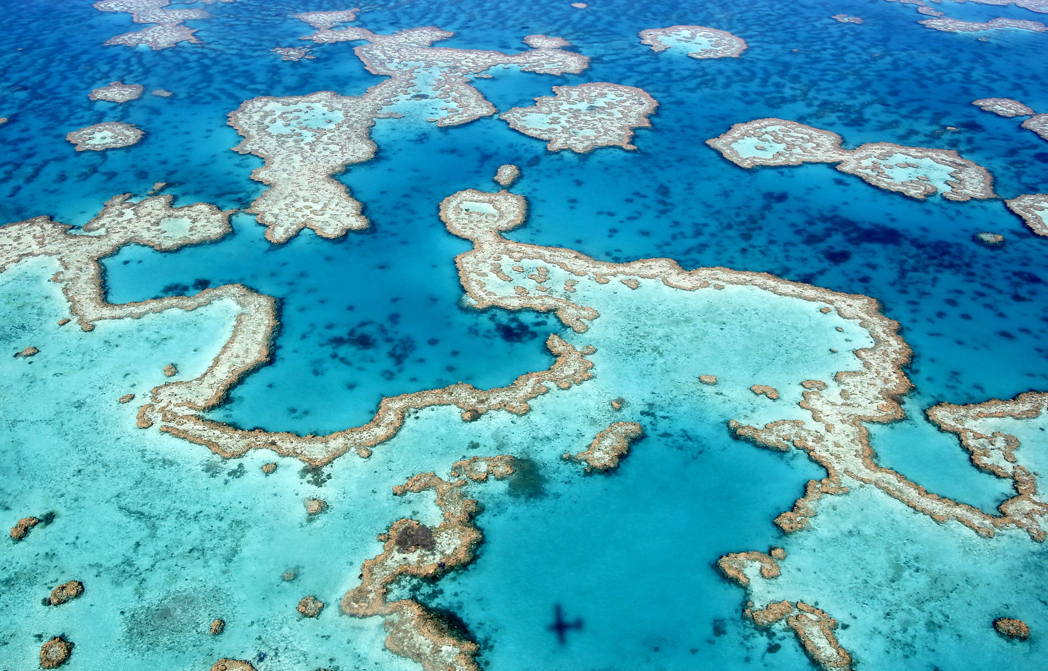 The Great Barrier Reef, seen from a scenic flight near Airlie beach, Queensland, October 21, 2018 (by Ayanadak123, CCBY-SA 4.0 via Wikimedia).