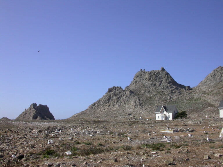 Marine Terrace, Southeast Farallon Islands (by Duncan, CC BY-SA 2.0 via Flickr).