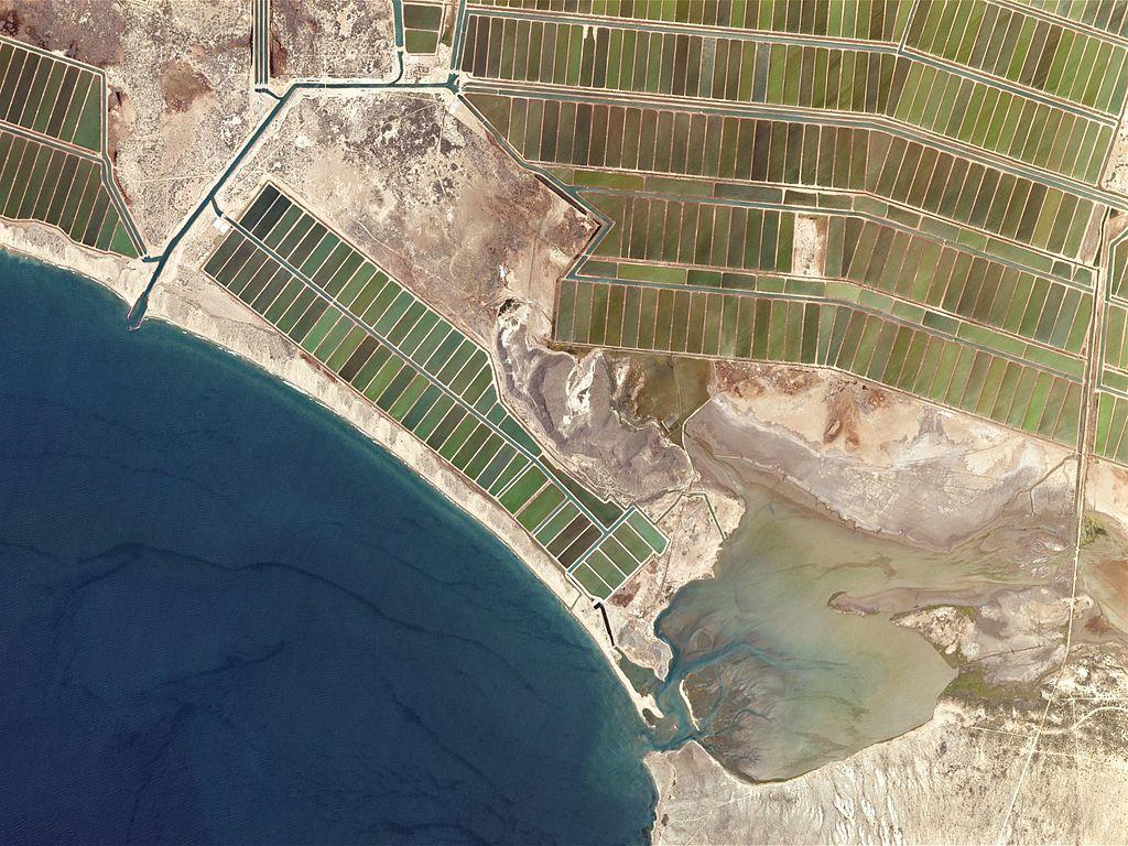 Rows and rows of artificial shrimp ponds make up one of many large aquaculture farms in Mexico along the Gulf of California’s Sonoran coastline, June 2016 (by Planet Labs, inc CC BY-SA 4.0 via wikimedia).