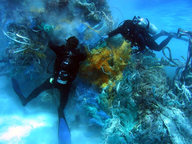 Scuba divers removing derelict net from reef. The depth here was 30 feet. This debris pile was an agglomeration of a number of nets that had probably been swept together in the North Pacific Gyre (by Dr. Dwayne Meadows, NOAA/NMFS/OPR CC BY 2.0 via Flickr).