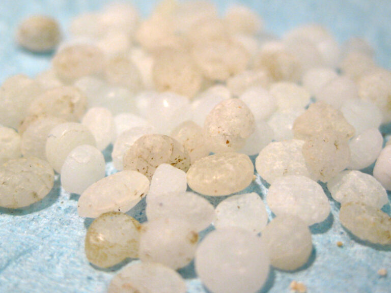 Pre-production plastic pellets are melted down and used in the manufacturing of the plastic products that we use everyday. These pellets enter the environment and are frequently found in areas of marine debris concentration (Courtesy of NOAA Marine Debris Program CC BY 2.0 via Flickr).