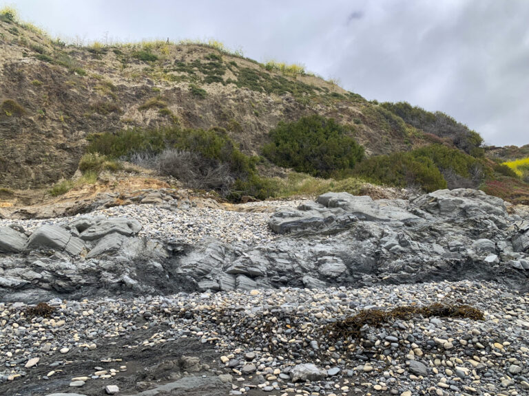 The shoreline and beach at the base of the Palos Verdes landside © 2024 Rajendra P. Malla.