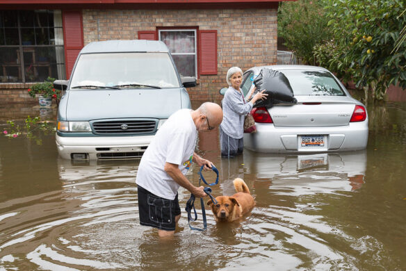 The aftermath of the flooding in North Charleston, South Carolina caused by over 15 inches of rainfall resulting from Hurricane Joaquin, 2015 (by Ryan Johnson, courtesy of North Charleston CC BY-SA 2.0 via Flickr).