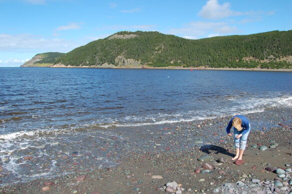 Newfoundland (by Jeremy T. Hetzel CC BY 2.0 via Flickr).