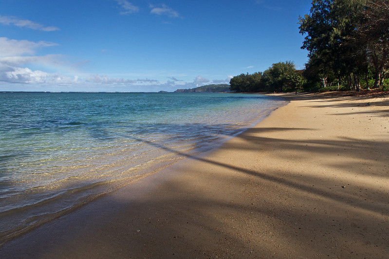 Anini Beach, 2018 (by Alan Grinberg CC BY-NC-ND 2.0 via Flicker).